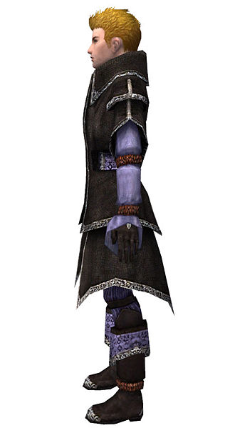 File:Elementalist Ancient armor m dyed left.jpg