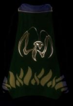 Guild Avatar Of Awesomeness cape.jpg