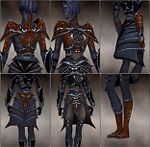 Screenshot Necromancer Elite Necrotic armor f dyed Brown.jpg