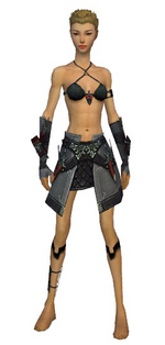 Assassin Elite Canthan armor f gray front arms legs.png