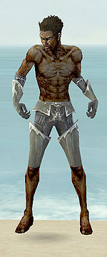 Necromancer Tyrian armor m gray front arms legs.jpg