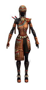 Ritualist Elite Canthan armor f dyed front.jpg