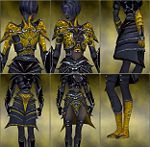 Screenshot Necromancer Elite Necrotic armor f dyed Yellow.jpg