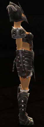 Warrior Norn armor f dyed right.jpg