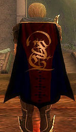Guild I Knights Of Eden I cape.jpg