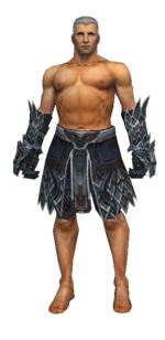 Warrior Silver Eagle armor m gray front arms legs.png