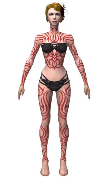 File:Necromancer Scar Pattern armor f dyed front.jpg