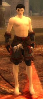 Ritualist Norn armor m gray front arms legs.jpg