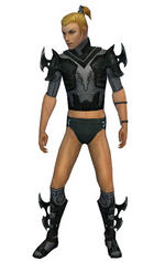 Assassin Kurzick armor m gray front chest feet.png