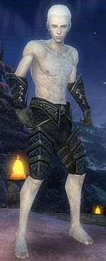 Necromancer Elite Cultist armor m gray front arms legs.jpg