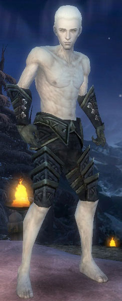 File:Necromancer Elite Cultist armor m gray front arms legs.jpg