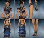 Ritualist Elite Exotic armor f blue overview.jpg