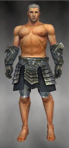 File:Warrior Elite Templar armor m gray front arms legs.jpg