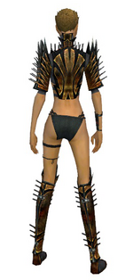 Assassin Elite Exotic armor f gray back chest feet.png