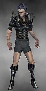 Necromancer Elite Cabal armor m gray front chest feet.jpg