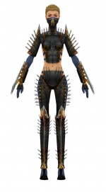 Guild Wars Assassin Armor on Gallery Of Female Assassin Exotic Armor   Guild Wars Wiki  Gww