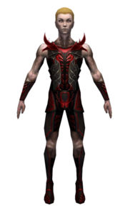 Necromancer Istani armor m dyed front.jpg