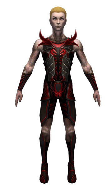 File:Necromancer Istani armor m dyed front.jpg