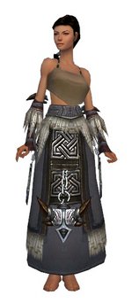 Dervish Norn armor f gray front arms legs.png