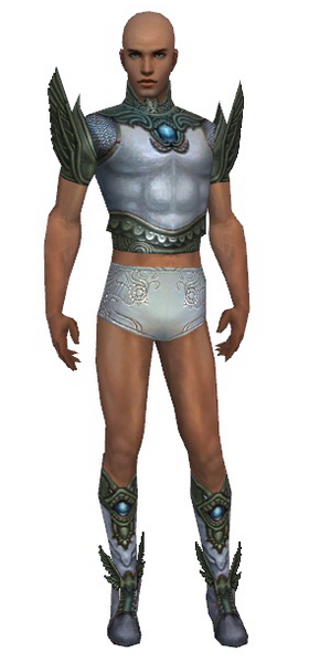 File:Paragon Monument armor m gray front chest feet.png