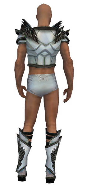 File:Paragon Obsidian armor m gray back chest feet.png