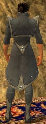 Elementalist Tyrian armor m gray back chest feet.jpg