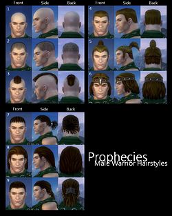 Prophecies Male Warrior Hairstyles.JPG