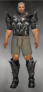 Warrior Elite Kurzick armor m gray front chest feet.jpg