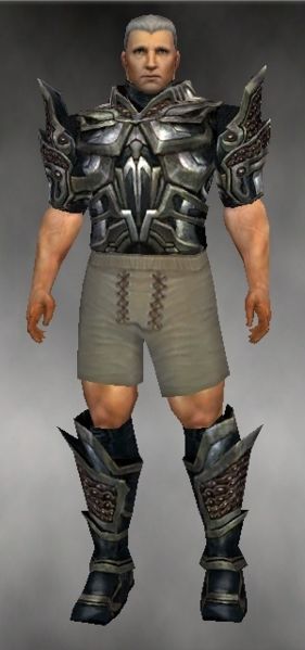 File:Warrior Elite Kurzick armor m gray front chest feet.jpg