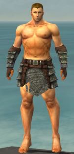 Warrior Krytan armor m gray front arms legs.jpg