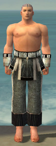 File:Monk Elite Sunspear armor m gray front arms legs.jpg
