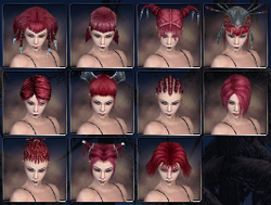 Necro prophecies hair style f.png
