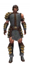 Warrior Krytan armor m.jpg