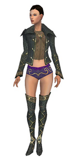 Mesmer Krytan armor f gray front chest feet.png