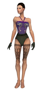 Mesmer Primeval armor f gray front arms legs.png