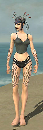 Necromancer Scar Pattern armor f gray front arms legs.jpg
