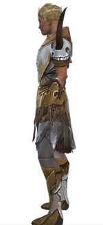 Paragon Norn armor m dyed left.png