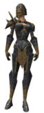 Warrior Elite Platemail armor f.jpg