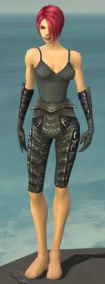 Necromancer Ascalon armor f gray front arms legs.jpg
