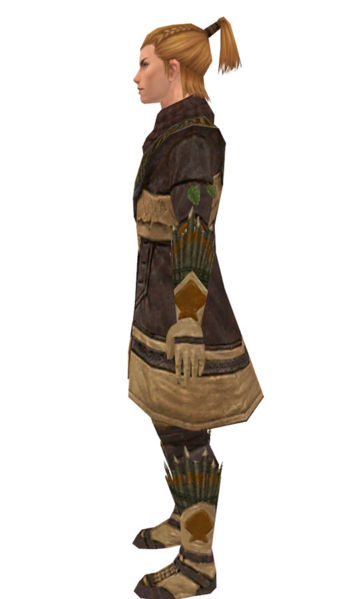 File:Ranger Elite Druid armor m dyed left.jpg