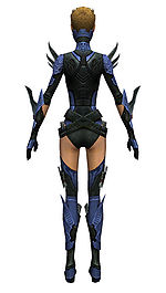 Assassin Imperial armor f dyed back.jpg