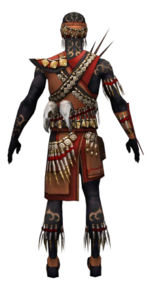 Ritualist Elite Canthan armor m dyed back.jpg