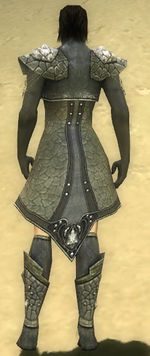 Elementalist Elite Stoneforged armor m gray back chest feet.jpg