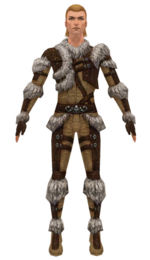 Ranger Elite Fur-Lined armor m dyed front.jpg