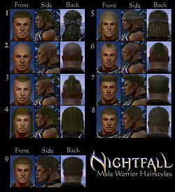 Warrior nightfall hair style m.jpg