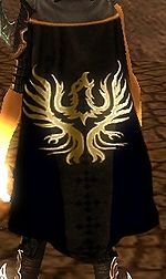 Guild The Imperial Guards Elite Newcape.jpg