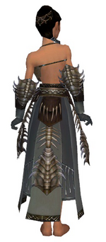 Dervish Primeval armor f gray back arms legs.png