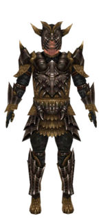 Warrior Elite Dragon armor m dyed front.jpg