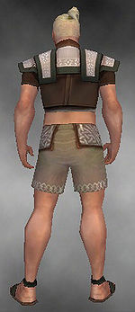Monk Elite Woven armor m gray back chest feet.jpg