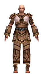 Monk Elite Canthan armor m dyed front.jpg